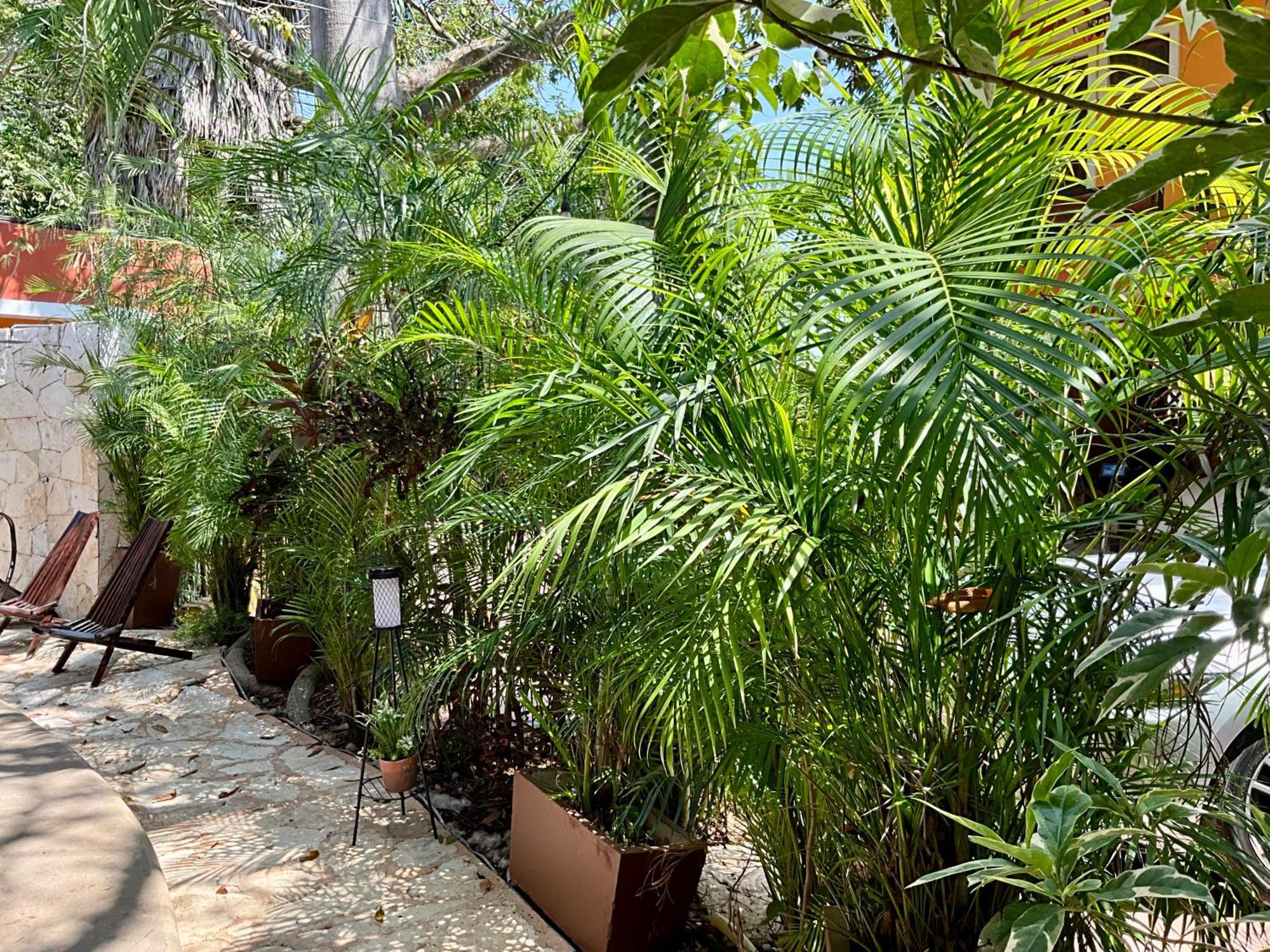 El Zaguan Colonial By Guruhotel Βαγιαδολίδ Εξωτερικό φωτογραφία